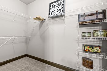 walk in closet with wire shelving and carpeting